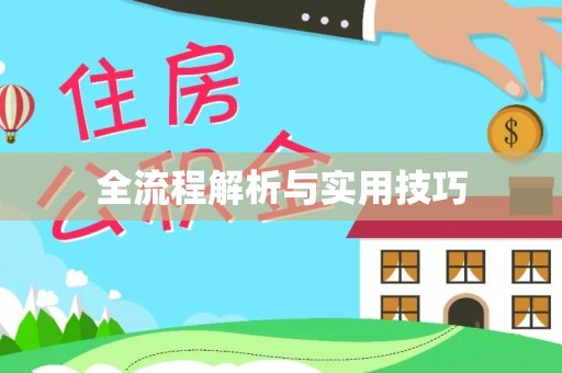 恩平全流程解析与实用技巧