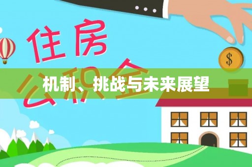 恩平机制、挑战与未来展望